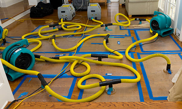 Professional Water Damage Restoration technician working in Modena, PA